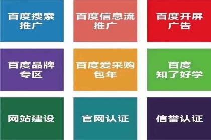 案例解析：百度推广排名提升的实战技巧